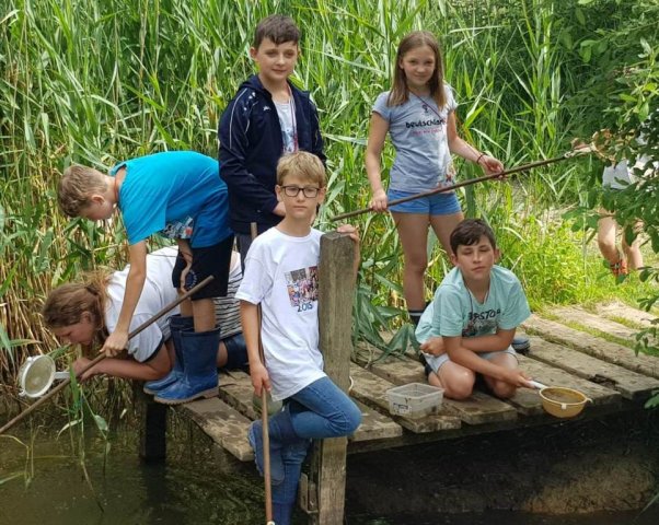 Abschlussgrillen der Klasse 4b im Biologiezentrum Bustedt